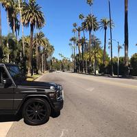 Отзыв от Даниил - виза ДТВ