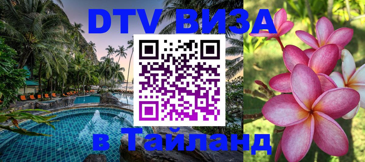Сколько стоит DTV виза — актуальные цены, оформление даже без документов - 